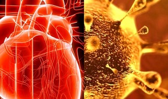 Coronavirus e Cuore
