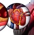 Angina, Infarto, Angioplastica: Il tempo è muscolo.